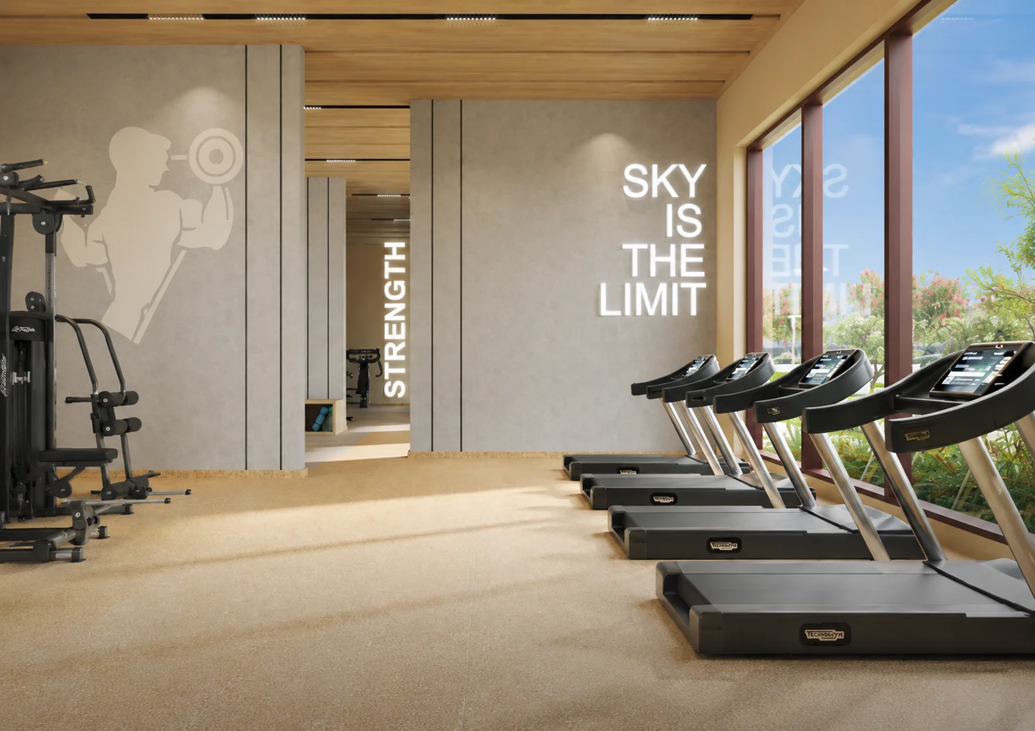 Modern Gymnasium